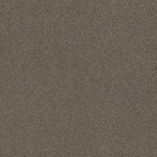Shaw Floors Nfa Provisional III Boardwalk 00702_NA520