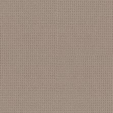 Shaw Floors Nfa Artful Array Pebble Path