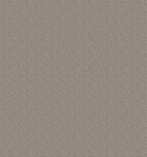 Shaw Floors Nfa Look This Way Asteroid