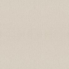 Shaw Floors Nfa Captious Canvas