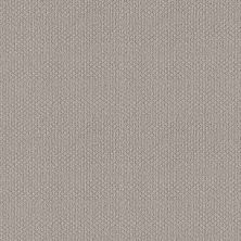 Shaw Floors Nfa Captious Warm Greige