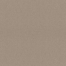 Shaw Floors Nfa Captious Pebble Path