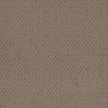 Shaw Floors Nfa Captious Worn Leather