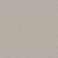 Shaw Floors Nfa Devious Look Aircraft