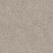 Shaw Floors Nfa Devious Look Birch