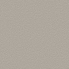 Shaw Floors Nfa Showy Split Sediment