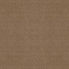 Shaw Floors Nfa Showy Raw Wood