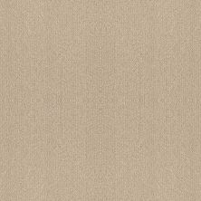 Shaw Floors Nfa Rare Find Sun Kissed 00110_NA526