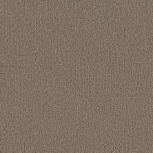 Shaw Floors Nfa Good Life Cobblestone 00750_NA542
