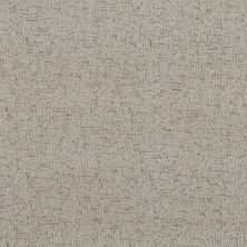 Shaw Floors Nfa Running Wild River Birch 00106_NA545