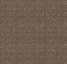 Shaw Floors Nfa Light Humor Cameo 00113_NA550