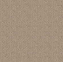 Shaw Floors Nfa Light Humor Worn Path 00700_NA550
