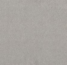 Shaw Floors Nfa Simple Life Vapor