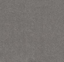 Shaw Floors Nfa Simple Life Metro Gray