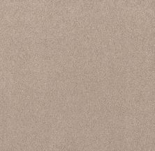 Shaw Floors Nfa Simple Life Palm Desert