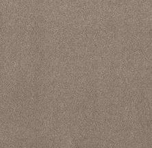 Shaw Floors Nfa Simple Life Carriage House