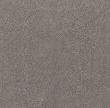 Shaw Floors Nfa Simple Life Century Taupe