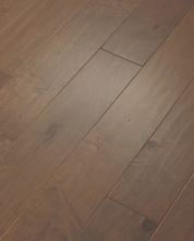 Shaw Floors Shaw Hardwoods Coral Springs Crescent Beach 01023_SW591