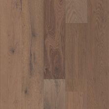 Shaw Builder Flooring Duras Hardwood Impressions White Oak Tinderbox Ebony 5082E_HW661