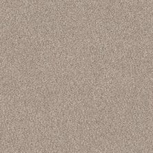 Oakmont Shaw Kw Flooring Mist SE496-103
