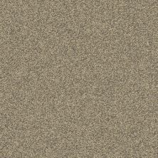 Big Bob’s Flooring Outlet Pr-i/O Gradient 12′ Bronze-156 PR-I/OGradient12-Bronze-156