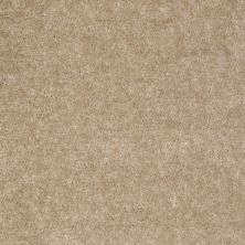 Shaw Floors Ever Again Nylon Eco Functional High Wind 00170_PS500