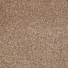 Shaw Floors Ever Again Nylon Eco Functional Taupe Express 00700_PS500