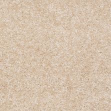 Shaw Floors Ever Again Nylon Eco Selection Natural Sand 00108_PS507