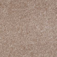 Shaw Floors Ever Again Nylon Eco Selection Townhouse Taupe 00706_PS507