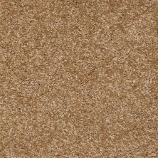 Shaw Floors Ever Again Nylon Eco Selection Warm Wheat 00707_PS507