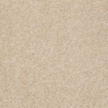 Shaw Floors Avalon Select Suede 00111_PS545