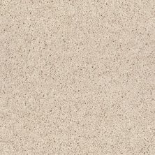 Shaw Floors Property Solutions New Approach Slivered Almond 00103_PS563
