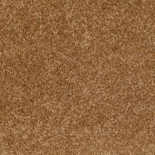 Shaw Floors Property Solutions Falcon Autumn Wheat 00200_PS590