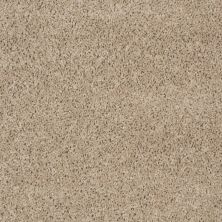 Shaw Floors Property Solutions Powerball Classic (s) Driftwood 00710_PS619