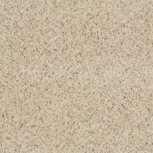 Shaw Floors Property Solutions Powerball Classic (b) Seashell 00160_PS620