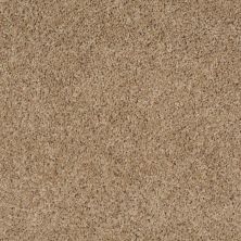 Shop Shaw Floors Property Solutions Powerball Classic B Moonwalk 00155 Ps620 Carpet Staff Carpet
