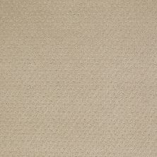 Shaw Floors Property Solutions Suite Statement Wool Skein 00111_PS655