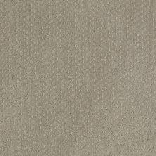 Shaw Floors Property Solutions Suite Statement Gray Flannel 00511_PS655