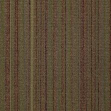 Philadelphia Commercial Property Solutions Jazzed Juice