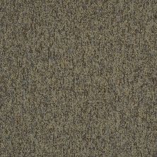 Philadelphia Commercial Property Solutions Abundance Oodles