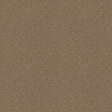 Shaw Floors Multifamily Eclipse Plus Commanding Solid Cappuccino 00741_PS807