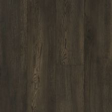 Shaw Floors Pulte Home Hard Surfaces Middlebrooke Dark Umber 09009_PW206