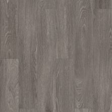 Shaw Floors Pulte Home Hard Surfaces Hill Valley Plus Pola 00590_PW744