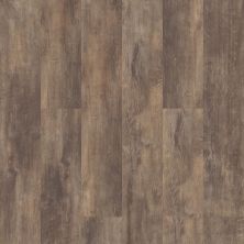 Shaw Floors Pulte Home Hard Surfaces Hill Valley Plus Genoa 00773_PW744