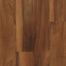 Shaw Floors Pulte Home Hard Surfaces Lasota Plus Amber Oak 00820_PW758