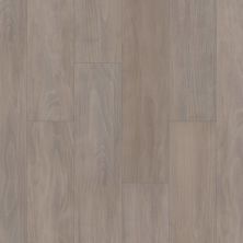 Shaw Floors Pulte Home Hard Surfaces Pebble Ridge Plus White Tea 05129_PW777