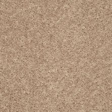 Shaw Floors Roll Special Px025 Natural Flax 00105_PX025