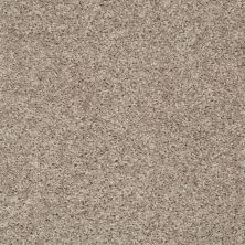 Shaw Floors Roll Special Px025 Glimmer 00501_PX025