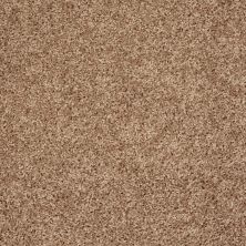 Shaw Floors Roll Special Px025 Pebble 00701_PX025