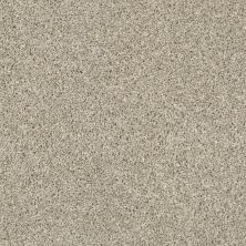 Shaw Floors Multifamily Eclipse Plus Enduring Tonal Magnolia Bloom 00120_PZ003